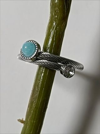 Anillo Dualidad del Mar