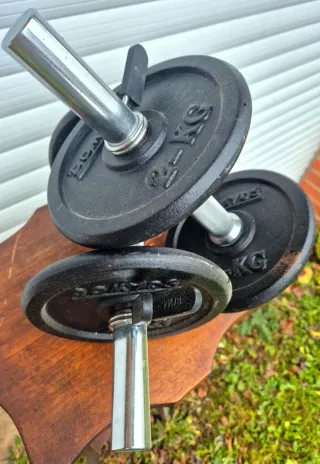 Coppia manubri con 4 dischi 2kg