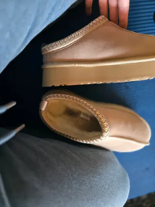 UGG Tazz Claritas Beige !