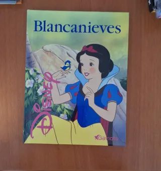Lote de libros de las princesas Disney.