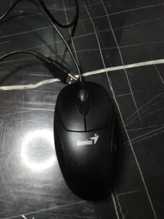 Ratón Genius Negro USB