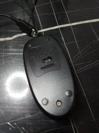 Ratón Genius Negro USB