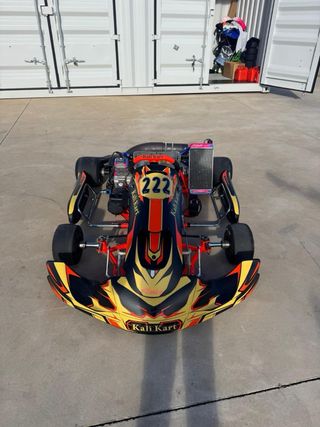 Kart Kali Kart X30 con Alfano