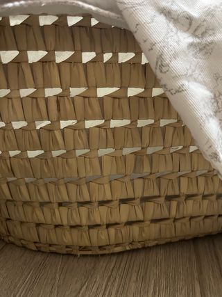 Moisés para bebé con estampado toile