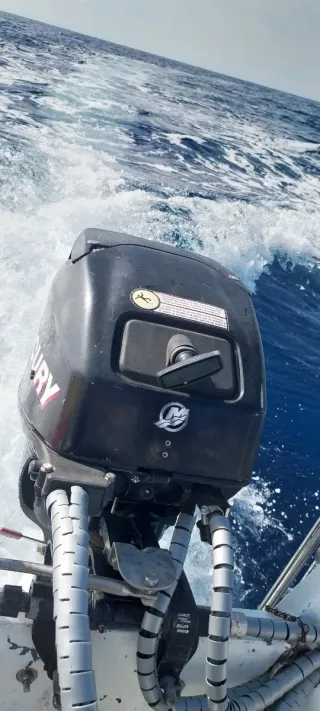 Embarcación pesca ll 4,20