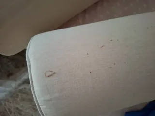 Cojines redondos para sofá cama 10e cada uno.