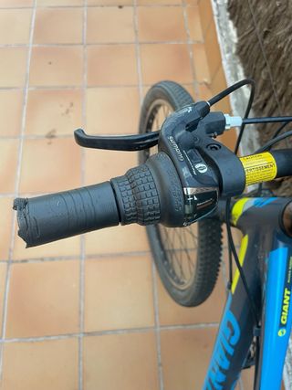 Bicicleta Giant XTC Jr 24