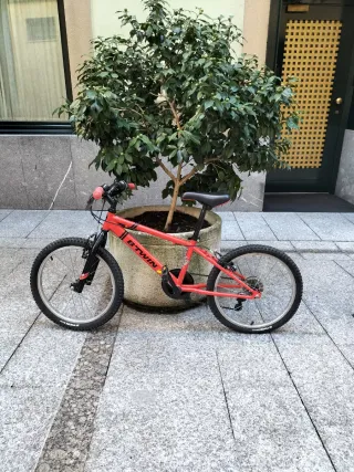 Bicicleta BTWIN Roja 20 Infantil