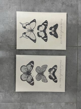 Quadri su Tela Farfalle Beige e Nero