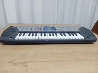 Órgano Casio 100 Tones