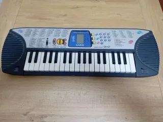 Órgano Casio 100 Tones