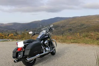 Harley Davidson Road King Custom