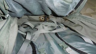 CamelBak BFM Motherlode Verde Foliage