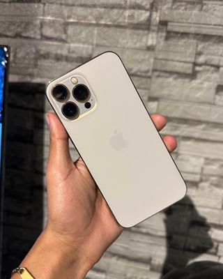 iPhone 13 Pro Max 256GB