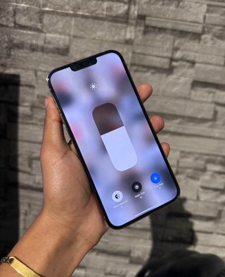 iPhone 13 Pro Max 256GB