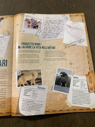 Album WWF 2012 Il Giro del Mondo