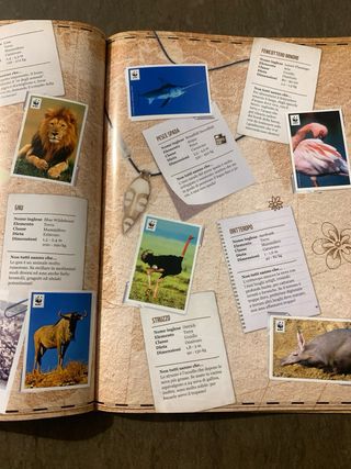 Album WWF 2012 Il Giro del Mondo