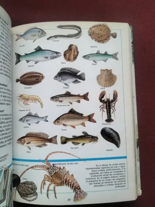 Los porqués de la naturaleza