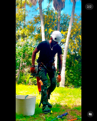 Jardinero: Poda en altura y riegos automáticos