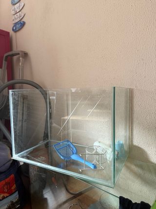 Acuario cristal 85L / Terrario