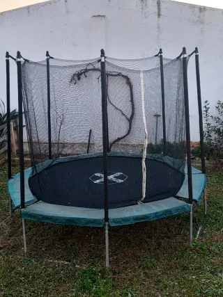 Cama elástica Domyos Hexagonal 240cm