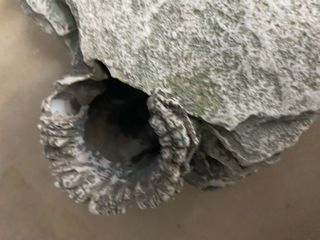 Decoración Coliseo Romano para Acuario