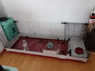 Jaula para roedores. Precio negociable