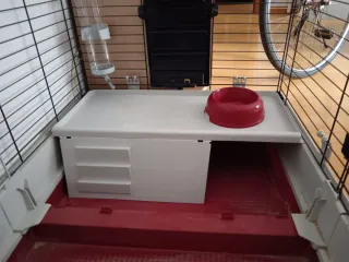 Jaula para roedores. Precio negociable