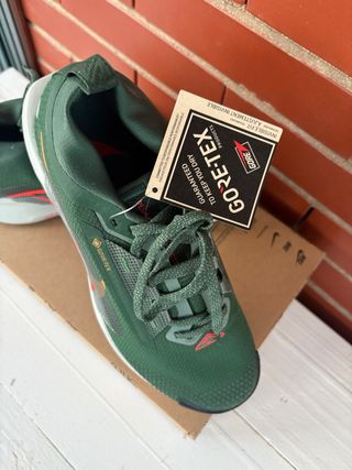 Zapatillas Nike Trail Reactx Pegasus 5 Gore-Tex