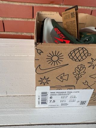 Zapatillas Nike Trail Reactx Pegasus 5 Gore-Tex