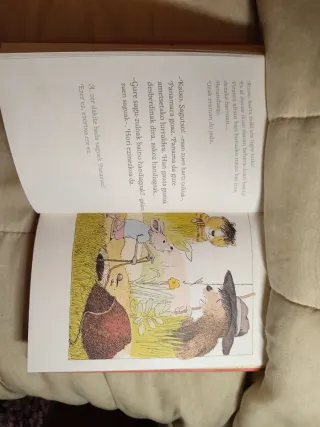 Zein polita des Panama! Panamara joan ziren tig...