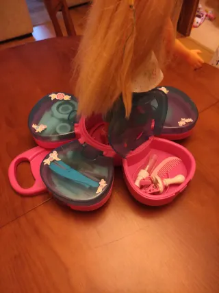 Nancy Trenzas de Colores