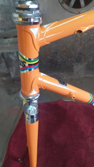 Cuadro de Bicicleta Zeus Naranja