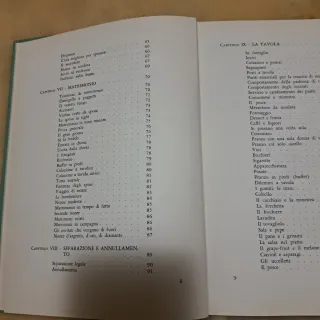 Libro Il saper vivere di donna Letizia