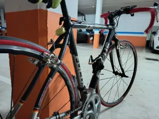 Bicicleta carretera Focus aluminio