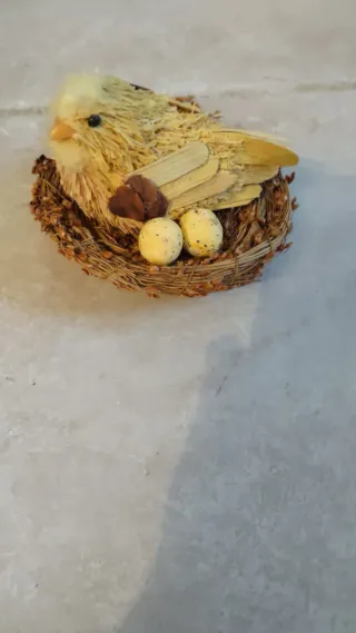 Pulcino di Pasqua in nido con uova