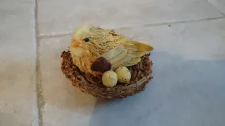 Pulcino di Pasqua in nido con uova