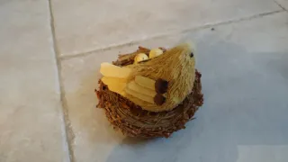 Pulcino di Pasqua in nido con uova