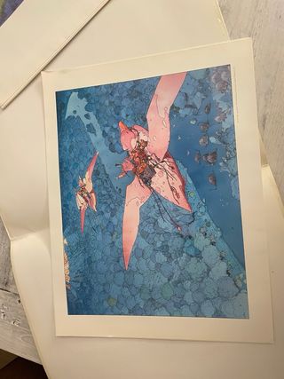 Collezione Moebius e Darrow - 10 Litografie