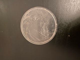 Funko Pop Will y Demogorgon Stranger Things