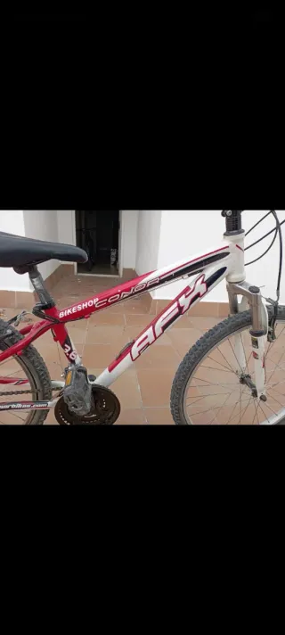 Bicicleta de Montaña Roja