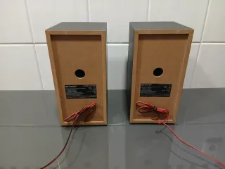 Altavoces Sharp Negros