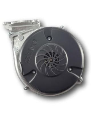 Extractor de Aire Caldera Viessman Vitodens 100 Pi