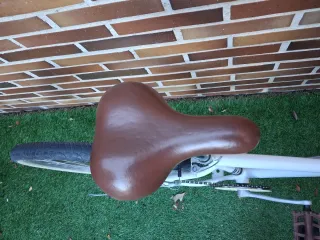 Bici 24 pulgadas (8-11 años)