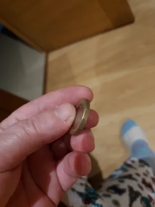 Moneda 1 Libra Isabel II 2016