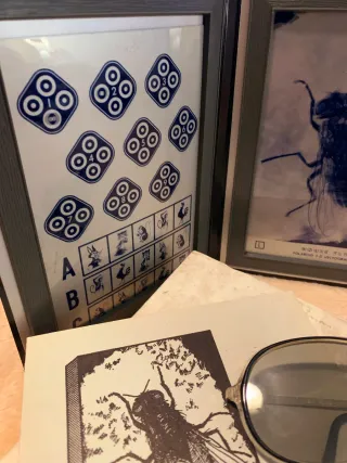 Test de la mosca Titmus rareza vintage