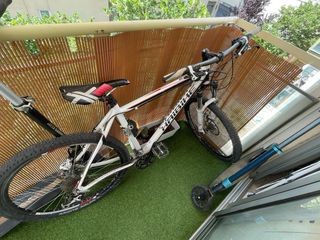 Bicicleta Haibike - necesita arreglo mantenimiento