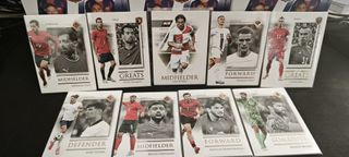 Lote Futera Seleccione