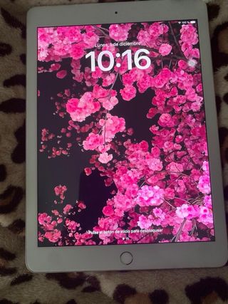 Apple iPad Blanco
