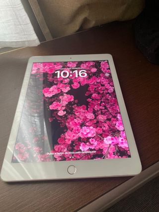 Apple iPad Blanco